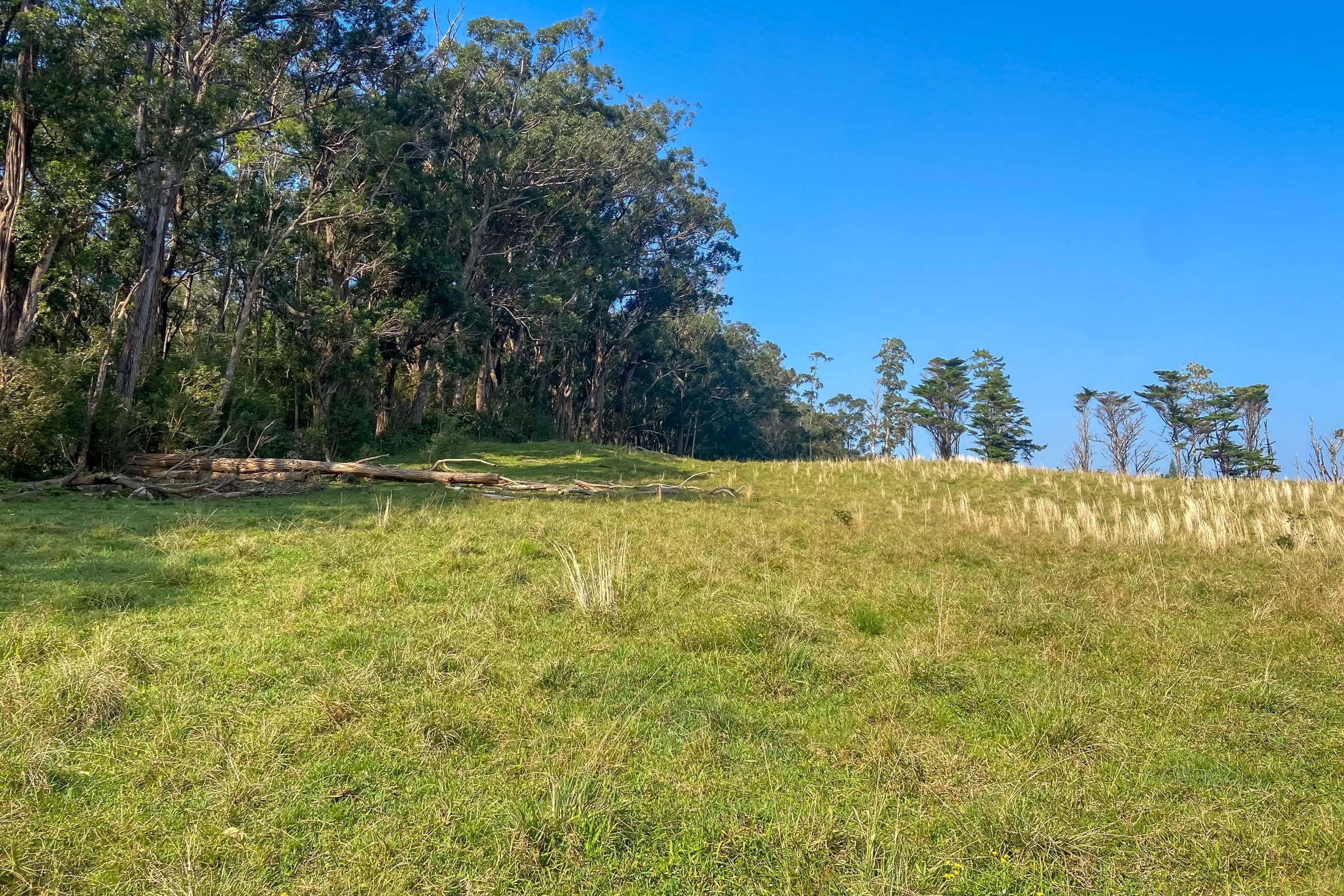 Honokaa, HI 96727,45-3445 KAHANA DR