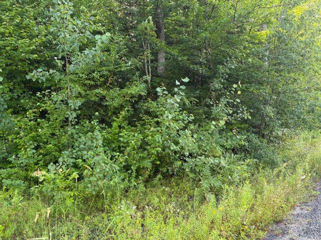 Huntsville, ON P0B 1M0,59 Summer Leigh TRL