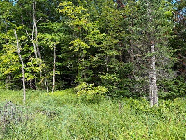 Huntsville, ON P0B 1M0,1788 Old Muskoka RD