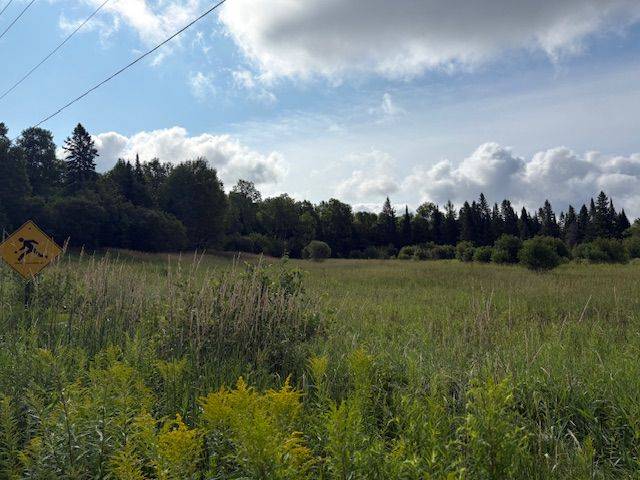 Huntsville, ON P0B 1M0,0 Old Muskoka to the East Side of #1105 RD