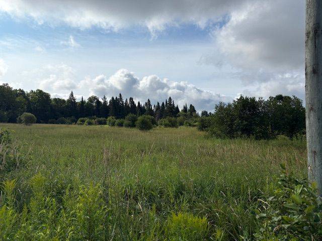 Huntsville, ON P0B 1M0,0 Old Muskoka to the East Side of #1105 RD