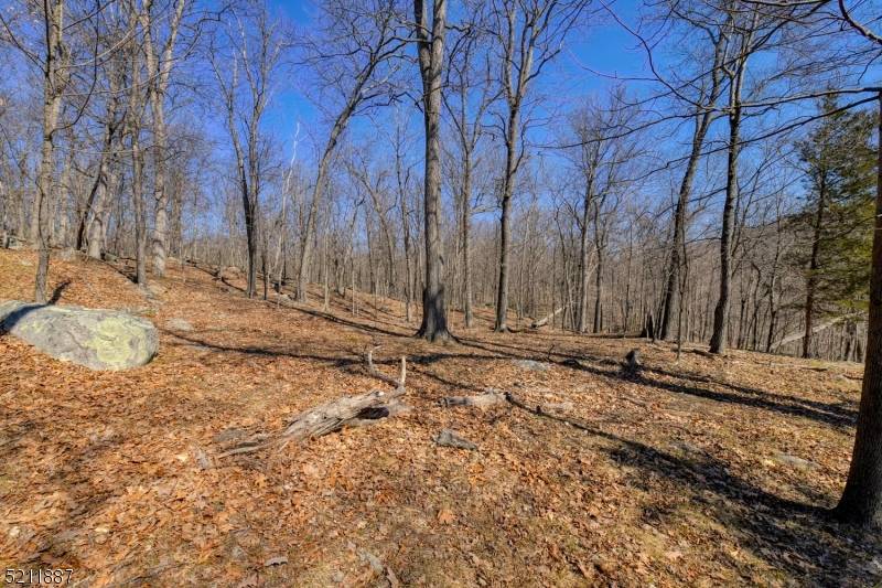 Ringwood Boro, NJ 07456,68 Magee Rd