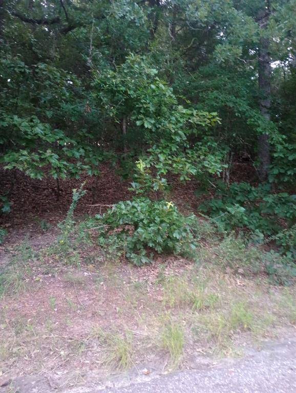 Murchison, TX 75778,0000 Wildwood