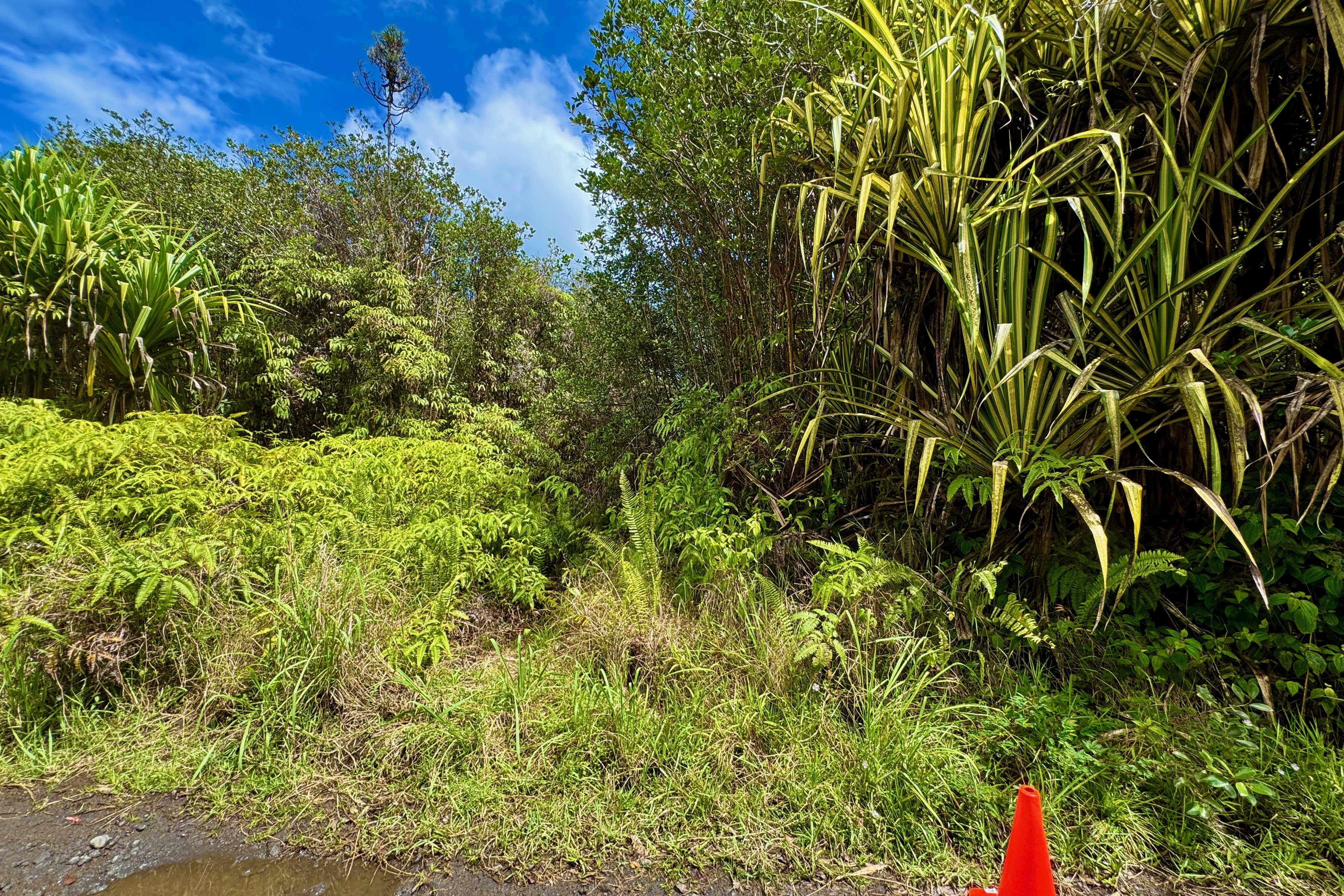 Mountain View, HI 96760,16-1495 IO KEA RD