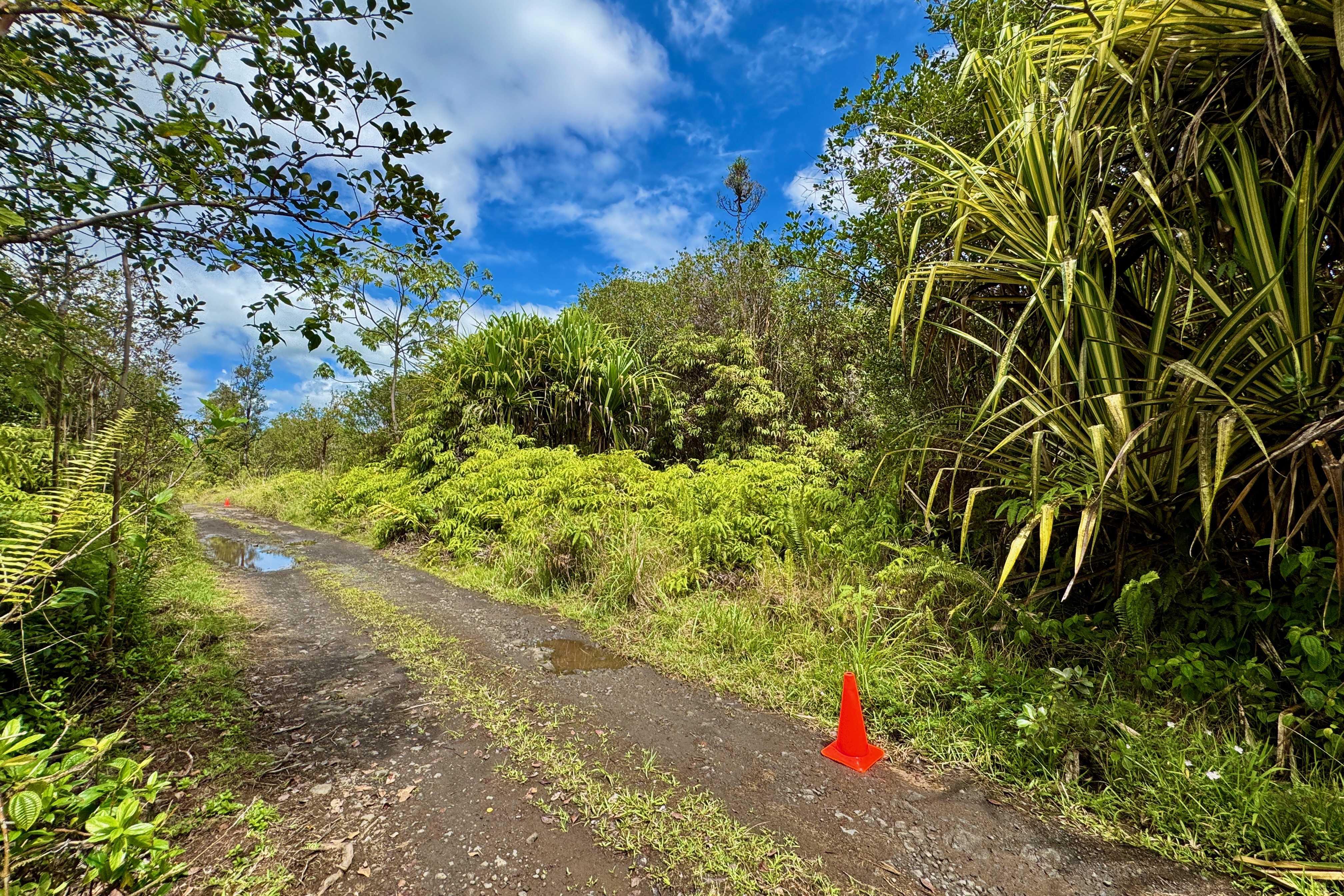 Mountain View, HI 96760,16-1495 IO KEA RD