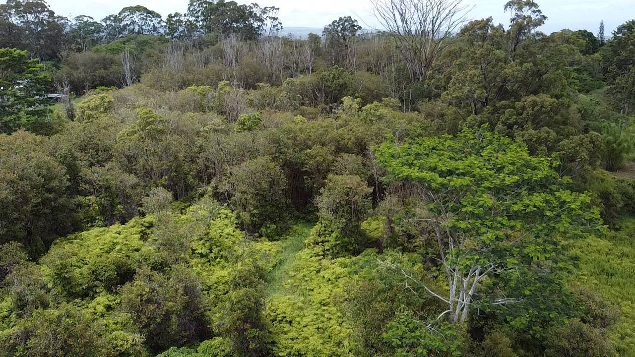 Hilo, HI 96720,AINAOLA DRIVE