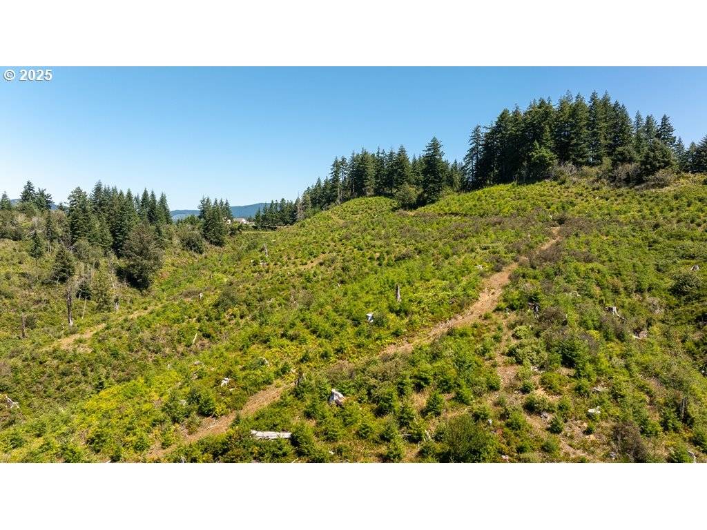 Florence, OR 97439,Collard Lake Rd