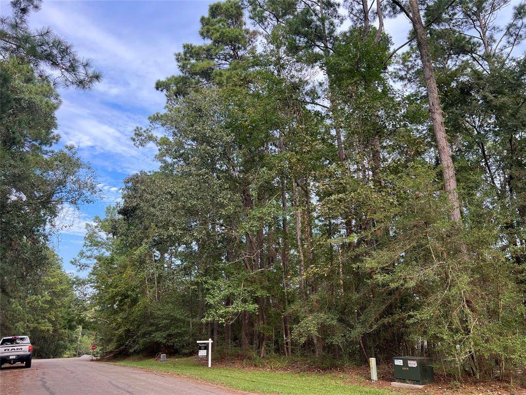 Coldspring, TX 77331,91 Twinstone Cir