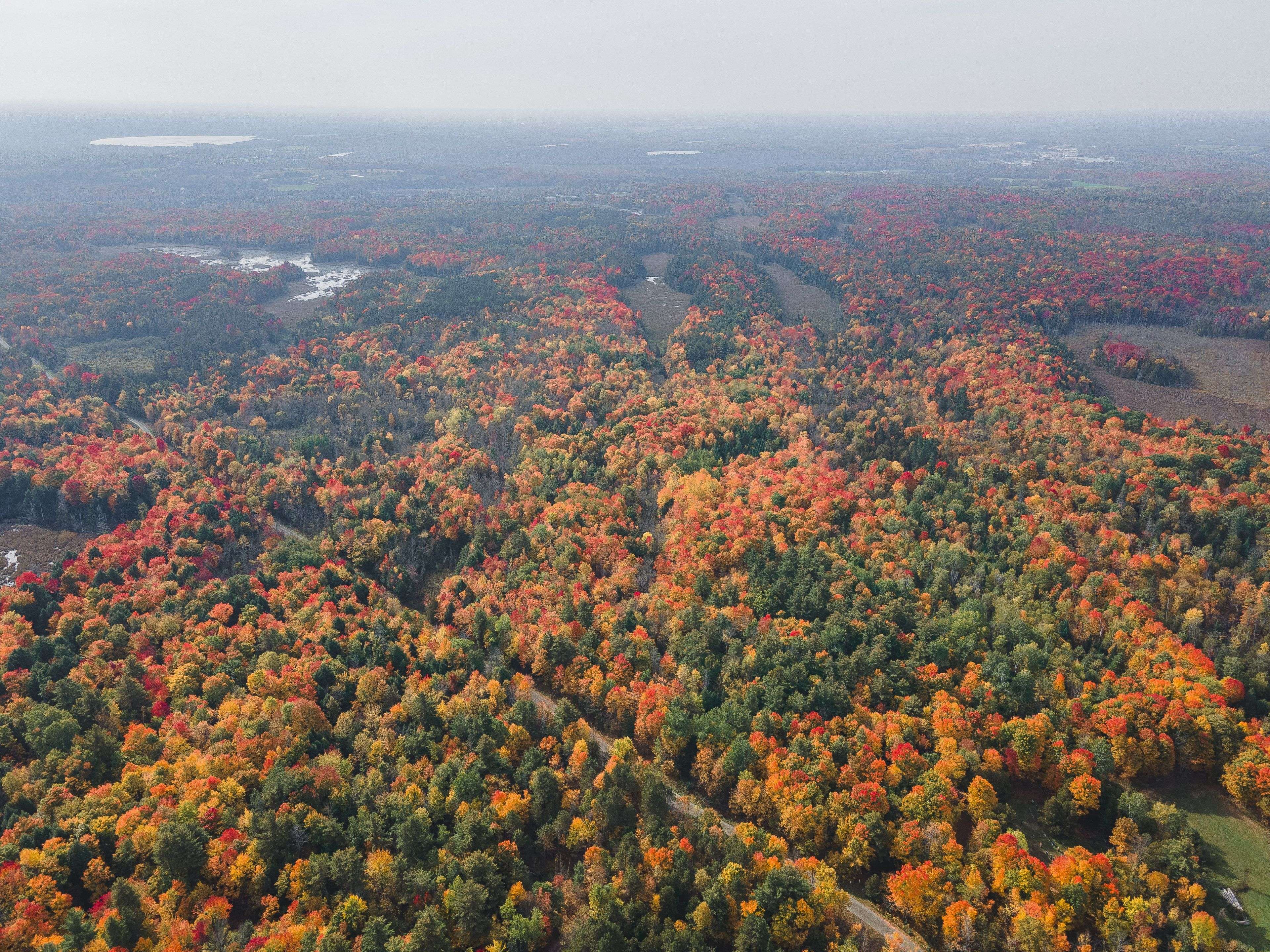 Lanark Highlands, ON K0A 1A0,Lot 7 10th Concession B RD