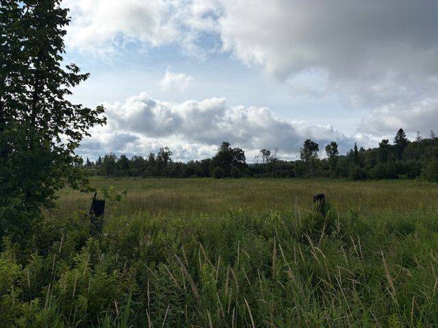 Huntsville, ON P0B 1M0,0 Old Muskoka to the West Side of #1105 RD