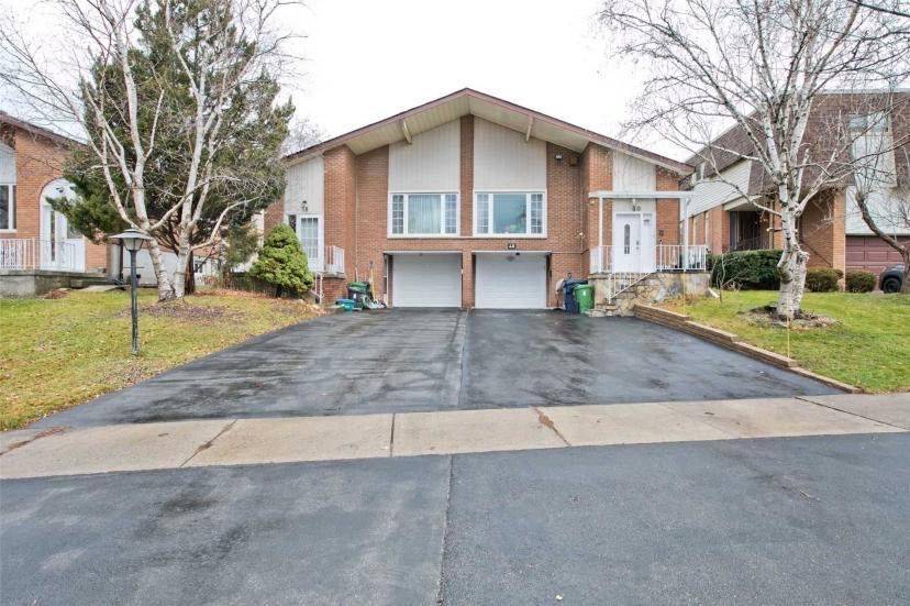 Toronto C15, ON M2M 3A7,40 Mintwood DR #Bsmt