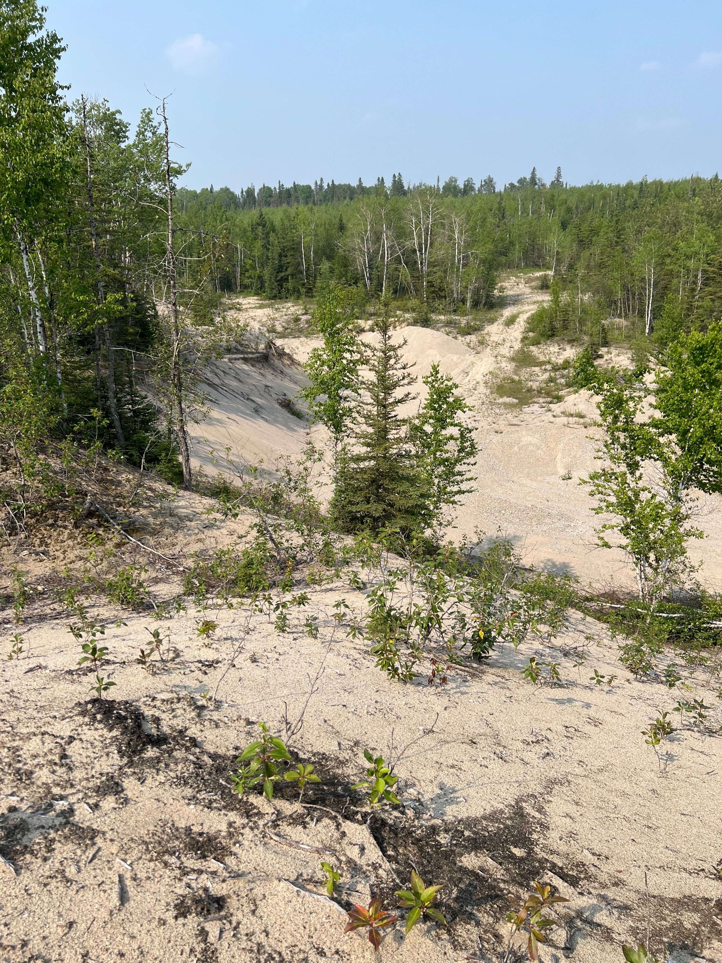 Cochrane, ON P0L 1C0,Con 4 Birchill RD E