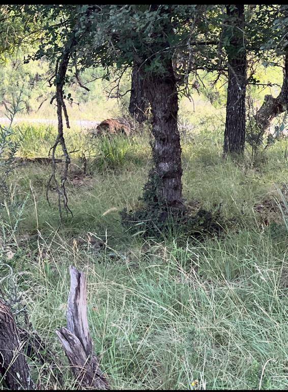 May, TX 76857,Lot 961 S Lakes Drive