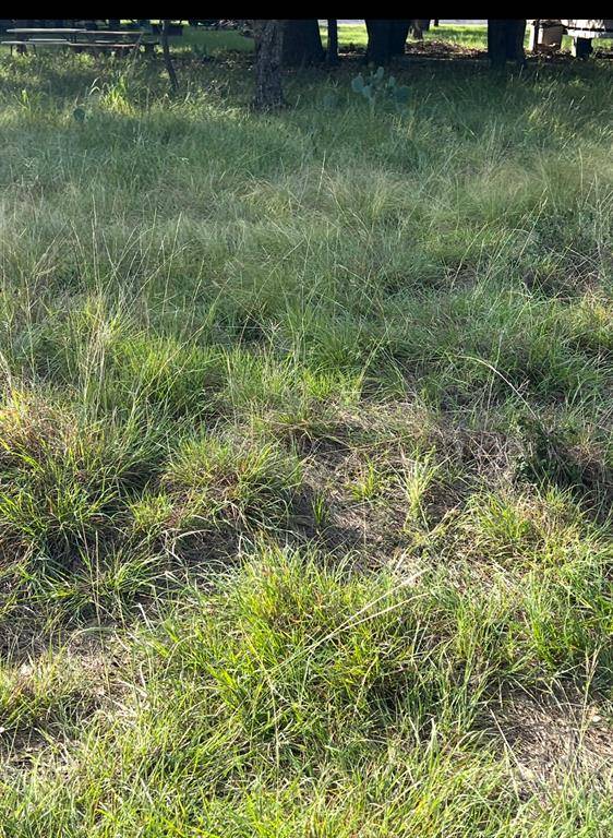 May, TX 76857,Lot 790 Oak Point Drive