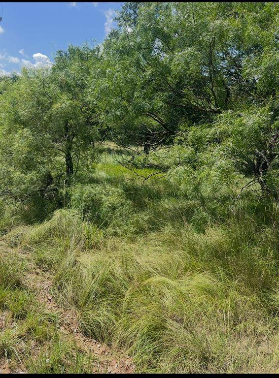 May, TX 76857,Lot 821 Oak Point Drive