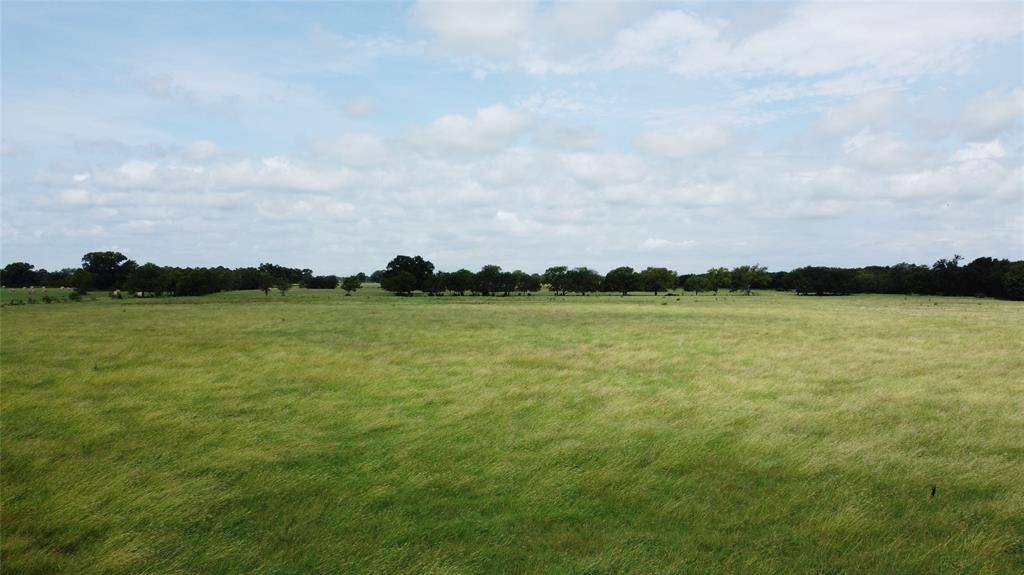 Pilot Point, TX 76258,11742 Dane Road