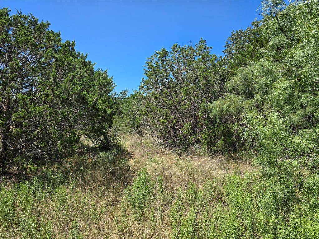 Santa Anna, TX 76878,TBD CR 102