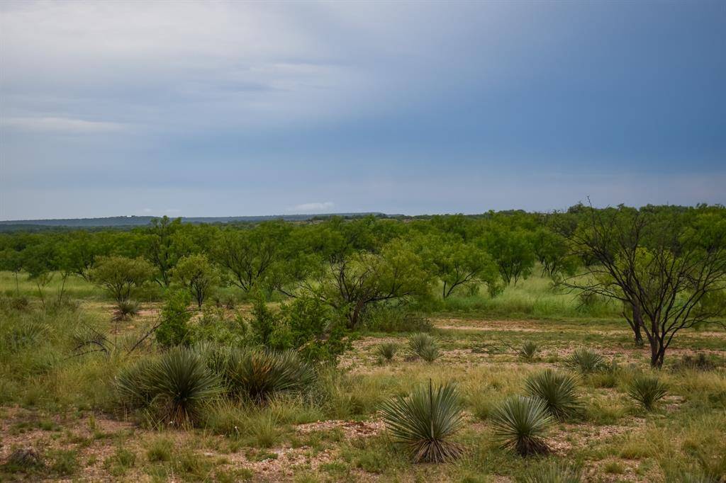 Brady, TX 76825,40 acres E. FM 765