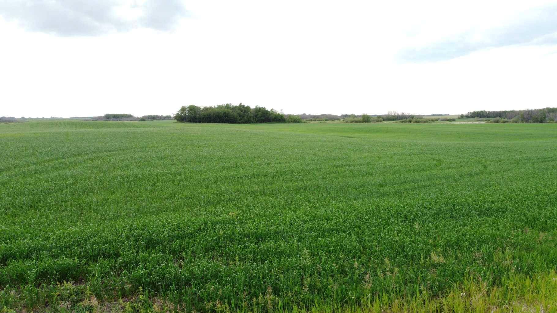 Rural Beaver County, AB T0B 0H8,163 Range