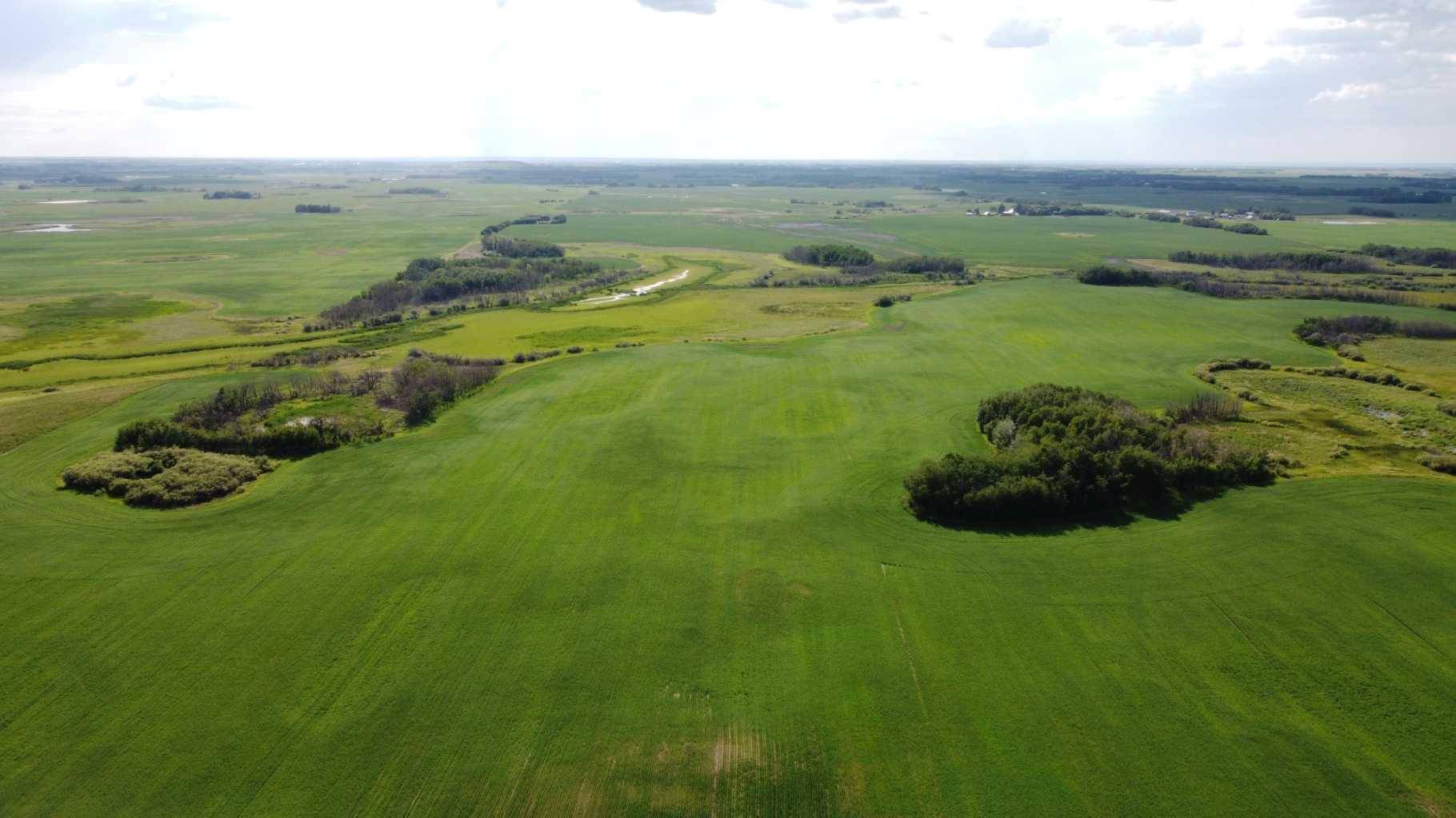 Rural Beaver County, AB T0B 0H8,163 Range