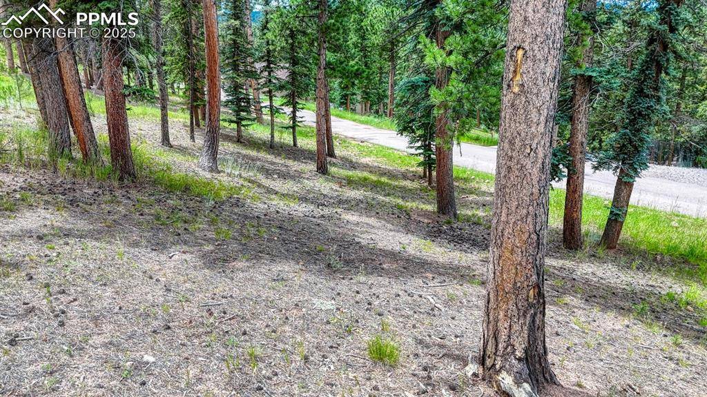 Woodland Park, CO 80863,215 Iron Eagle PT