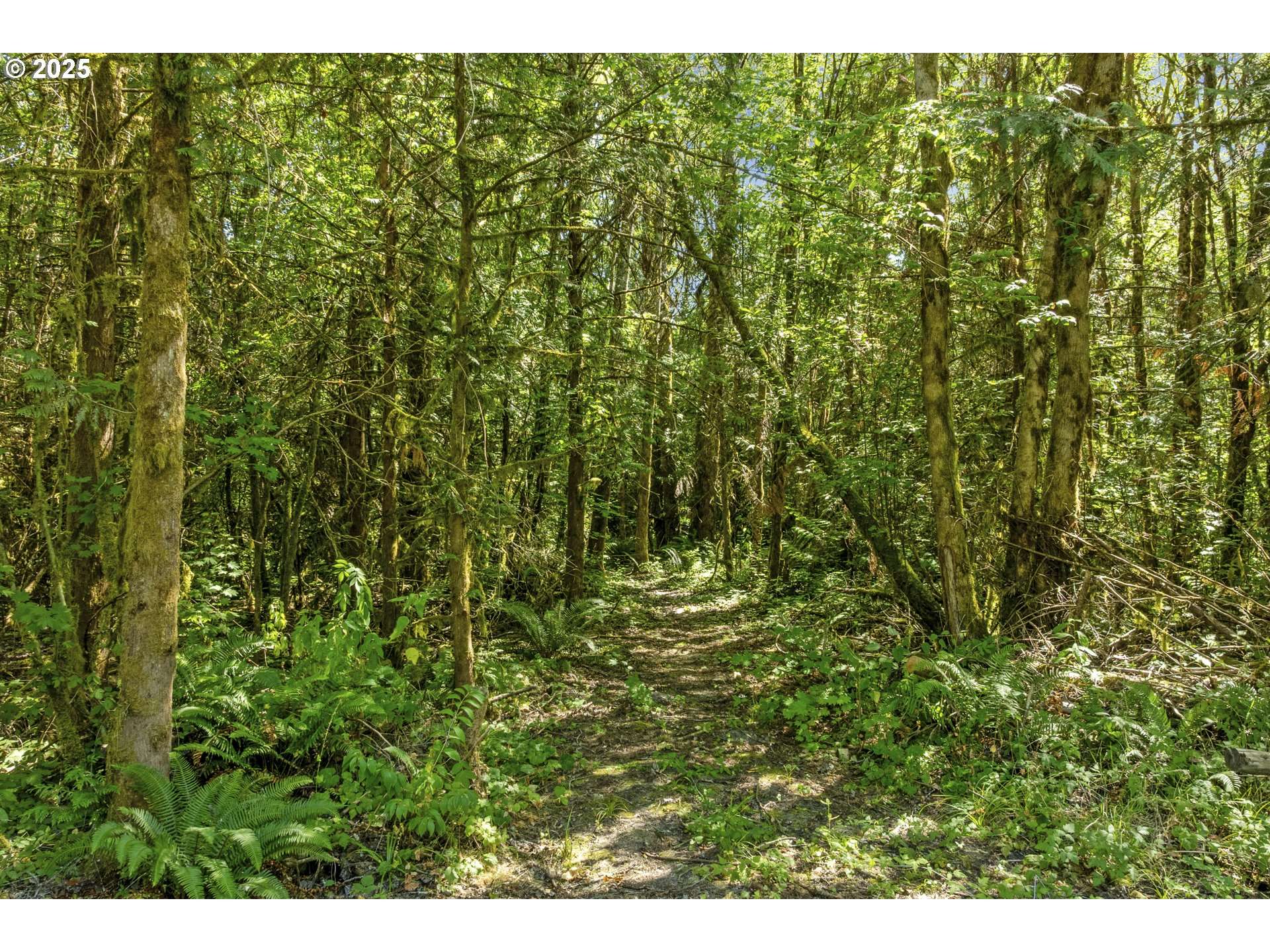 Battle Ground, WA 98604,9701 NE 299th