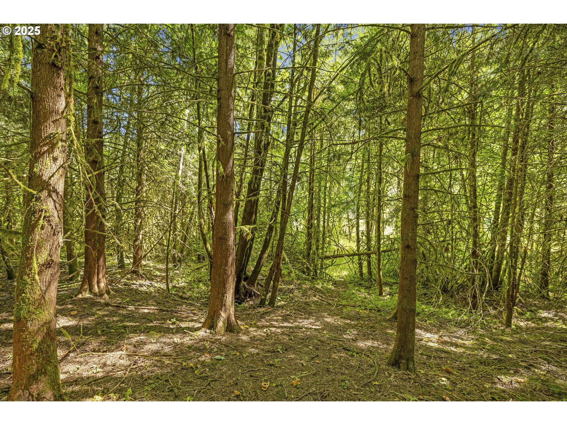 Battle Ground, WA 98604,9701 NE 299th