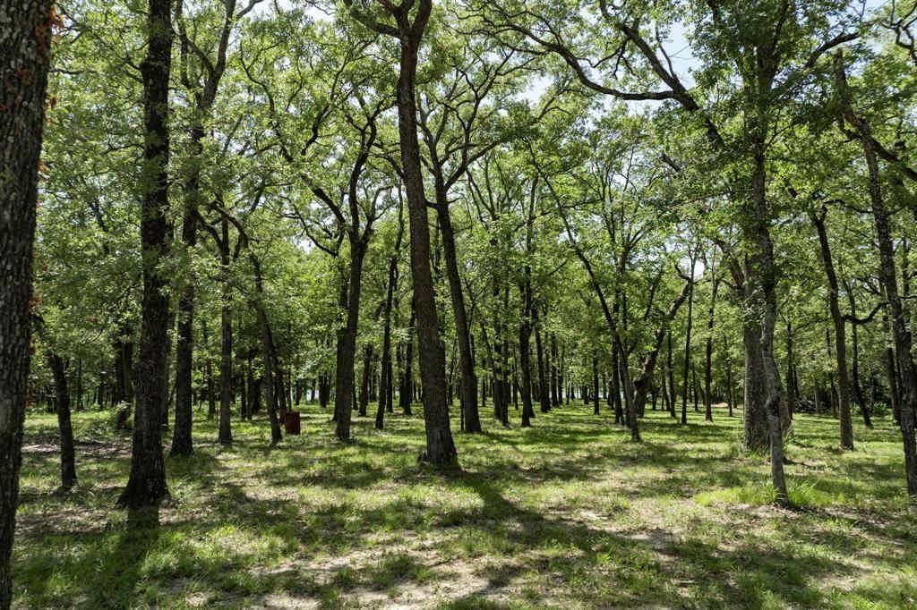 Quinlan, TX 75474,Lot 71 Anchor Point