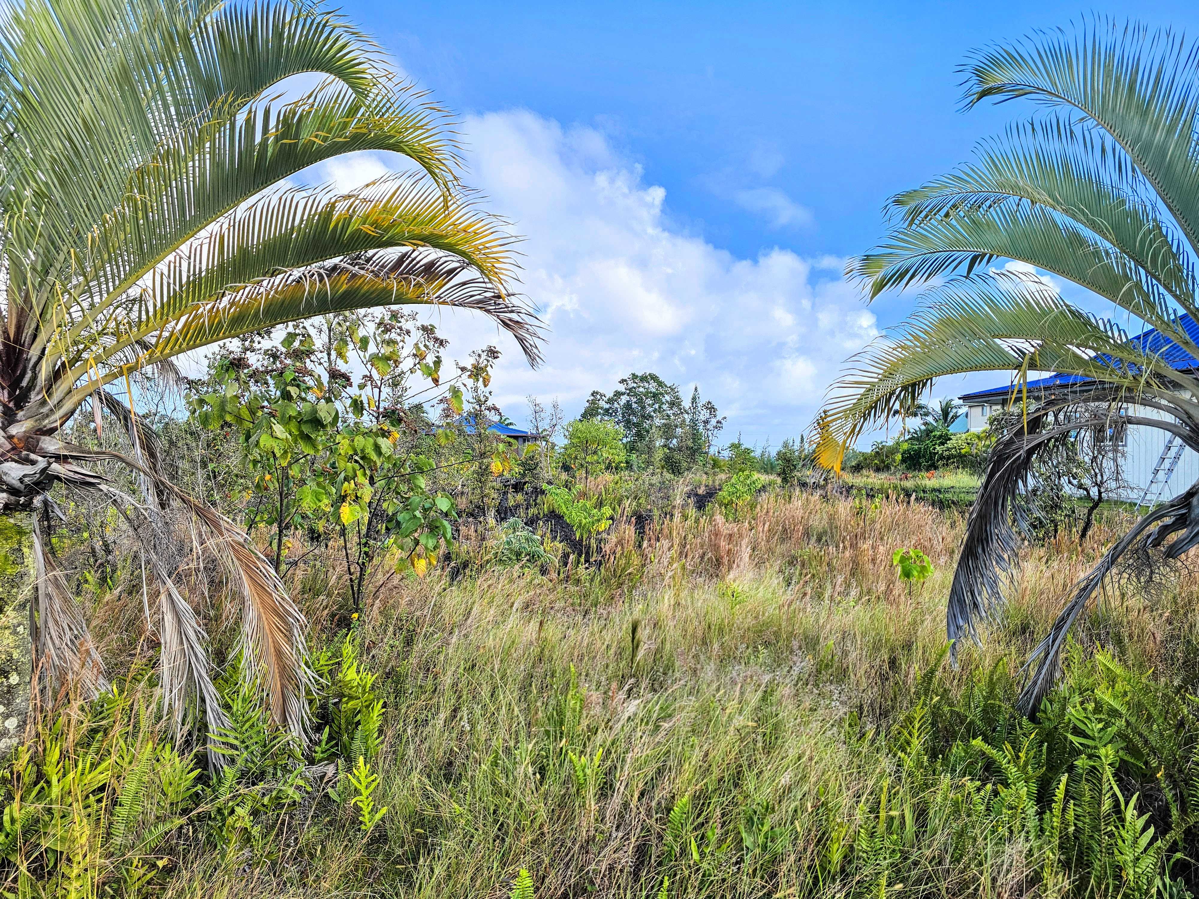 Pahoa, HI 96778,KALAUNU ST