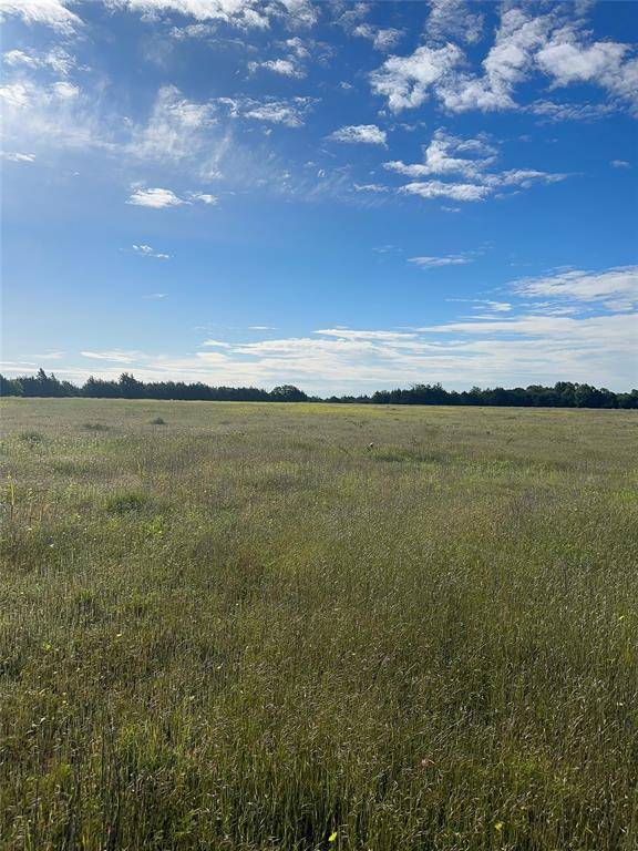 Blue Ridge, TX 75424,0 County Road 5020 Road #OF