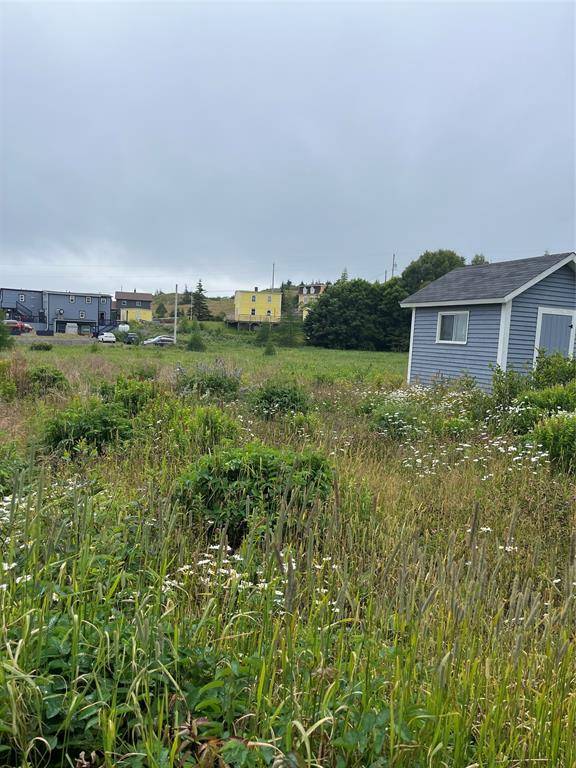 Trinity East, NL A0C 2H0,0 Local Road