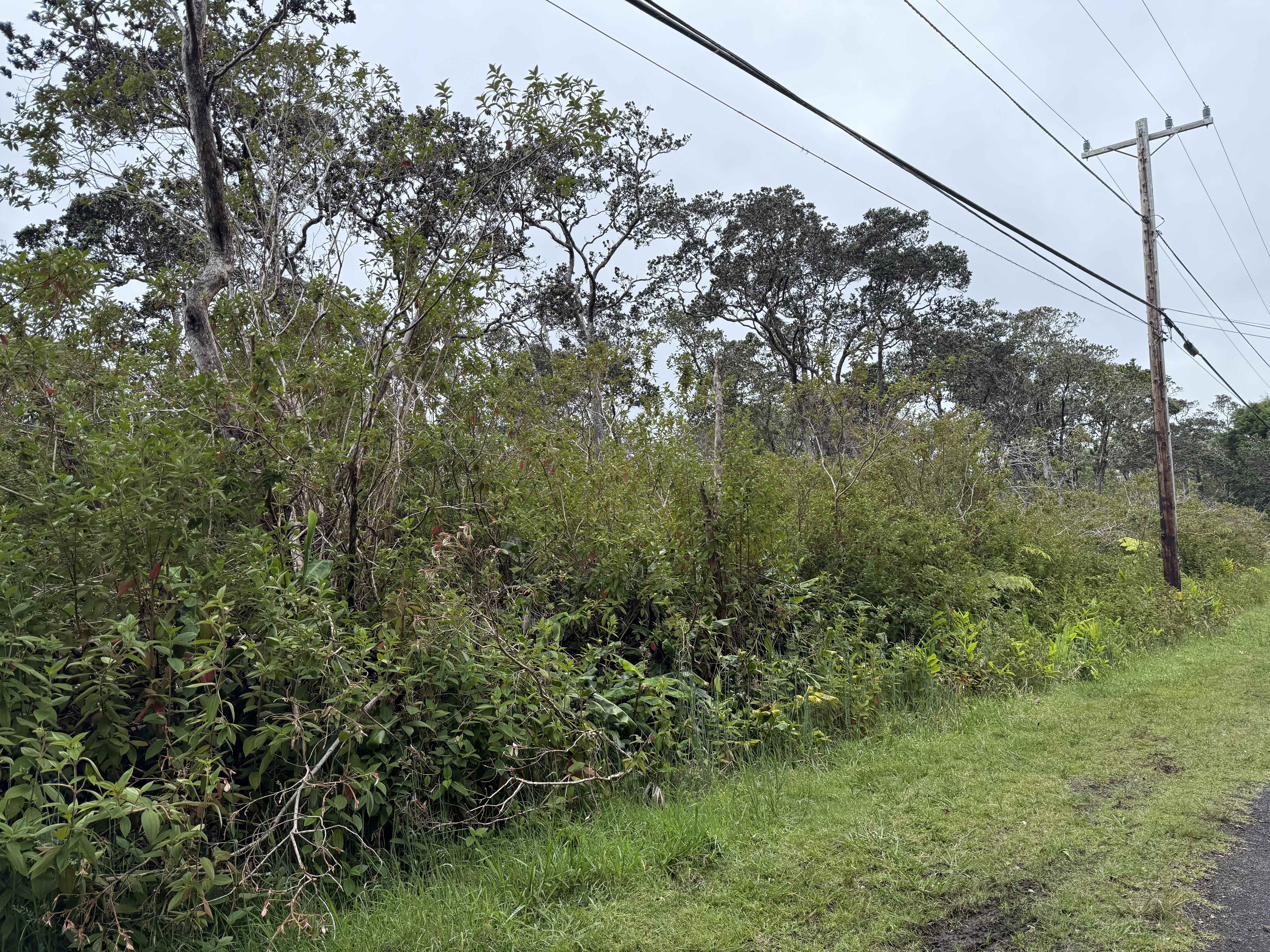 Volcano, HI 96785,19-4021 HAUNANI RD