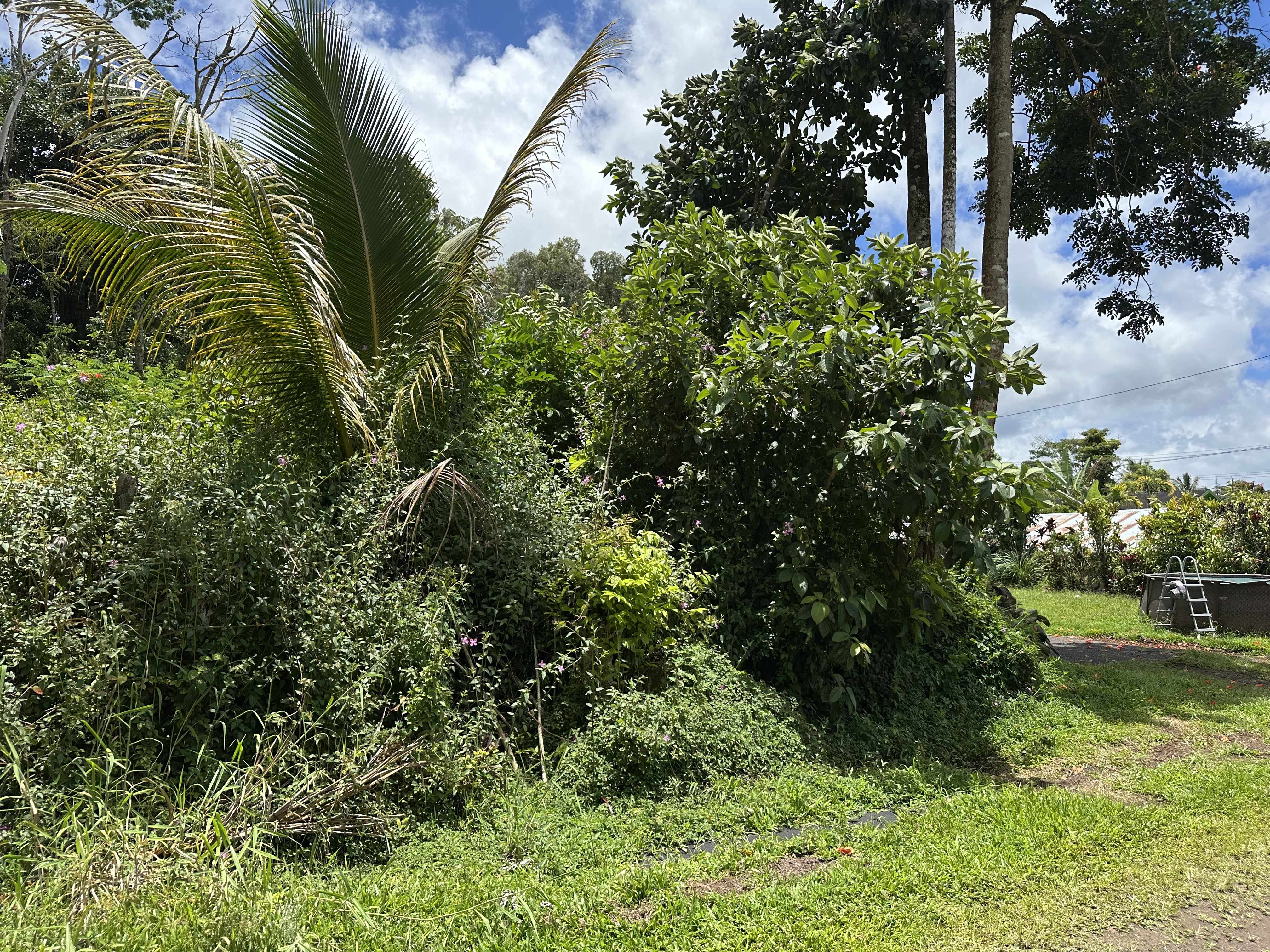 Pahoa, HI 96778,HOLIDAY RD