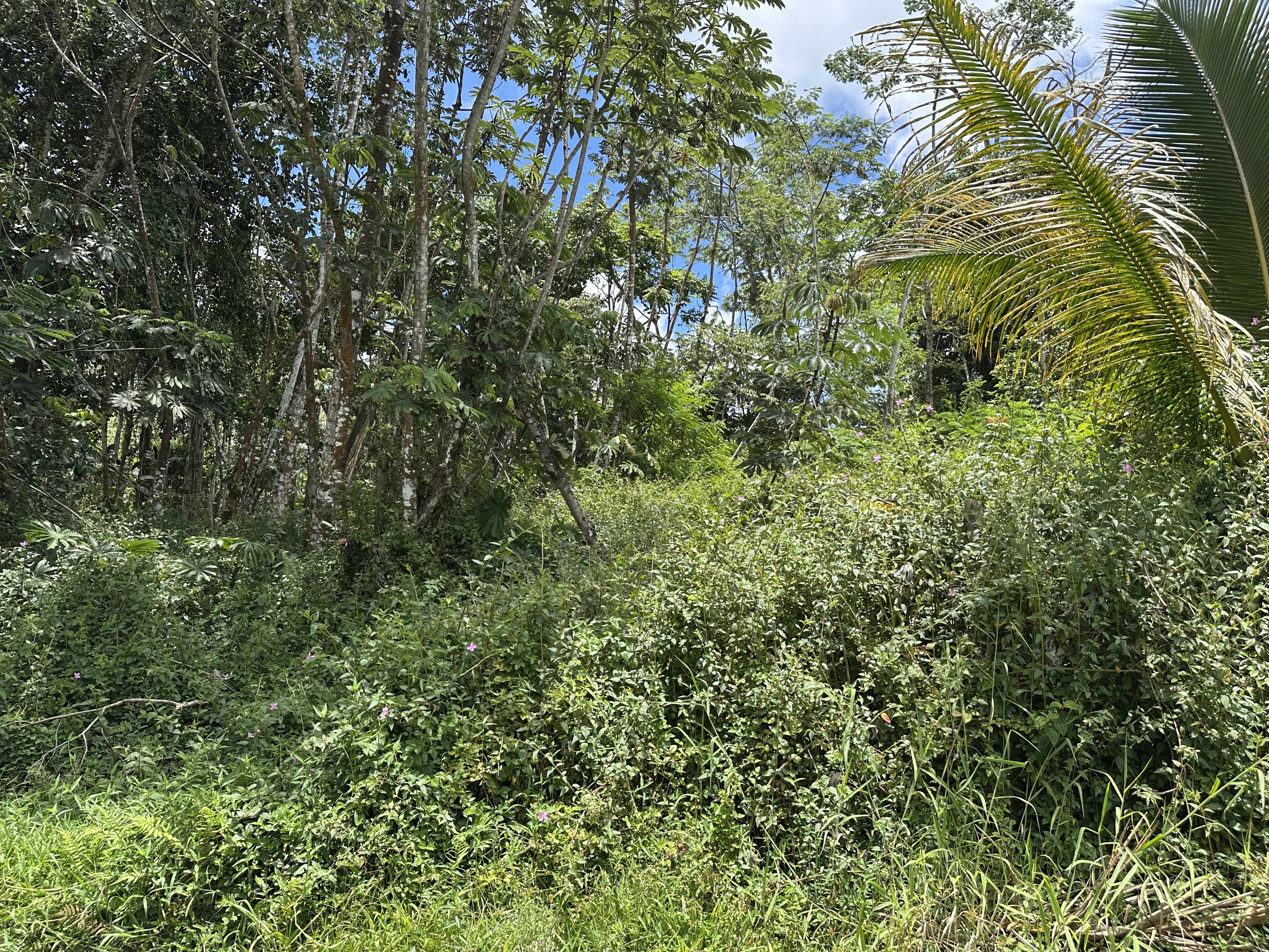 Pahoa, HI 96778,HOLIDAY RD