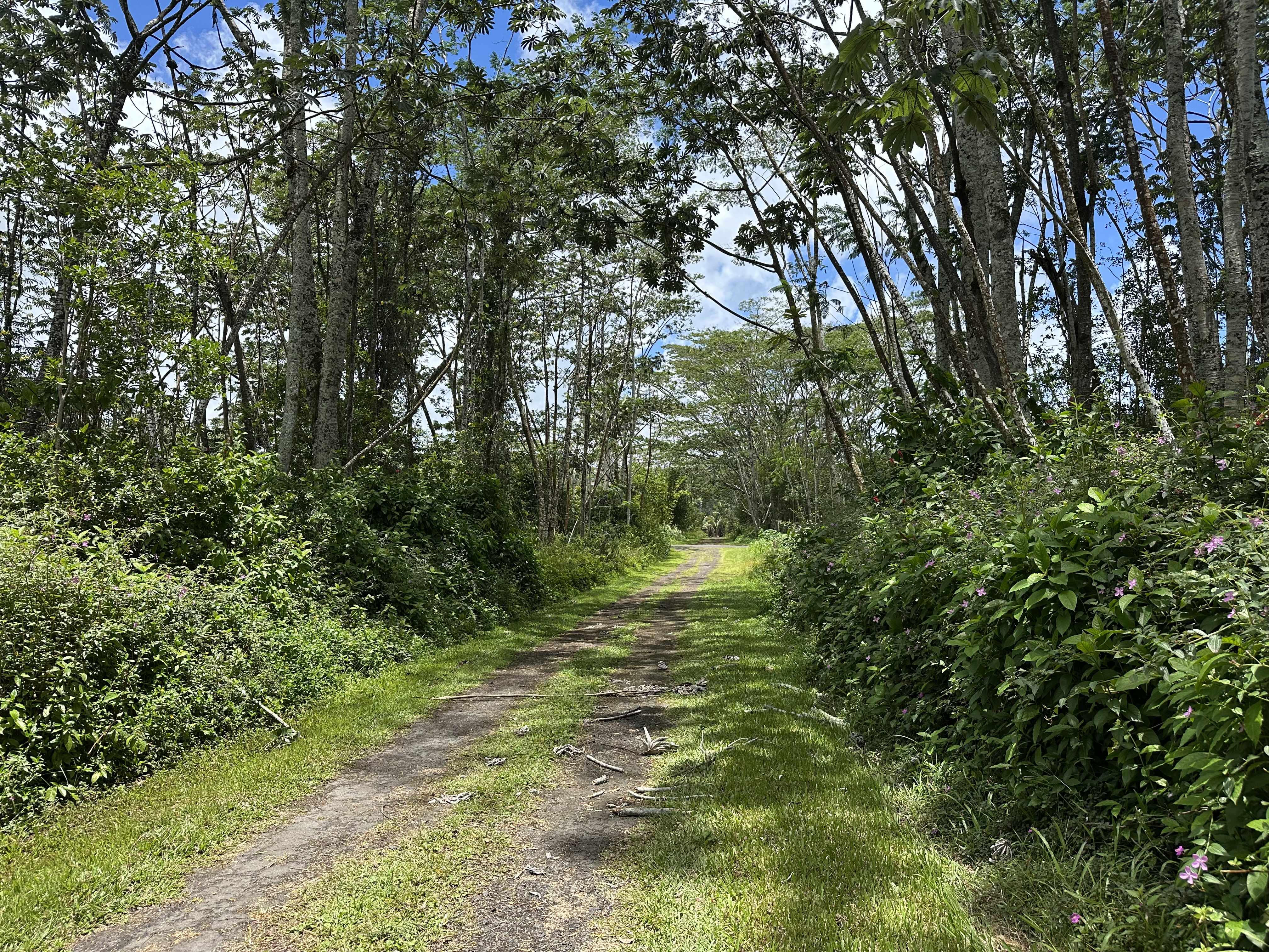 Pahoa, HI 96778,PLUMERIA RD
