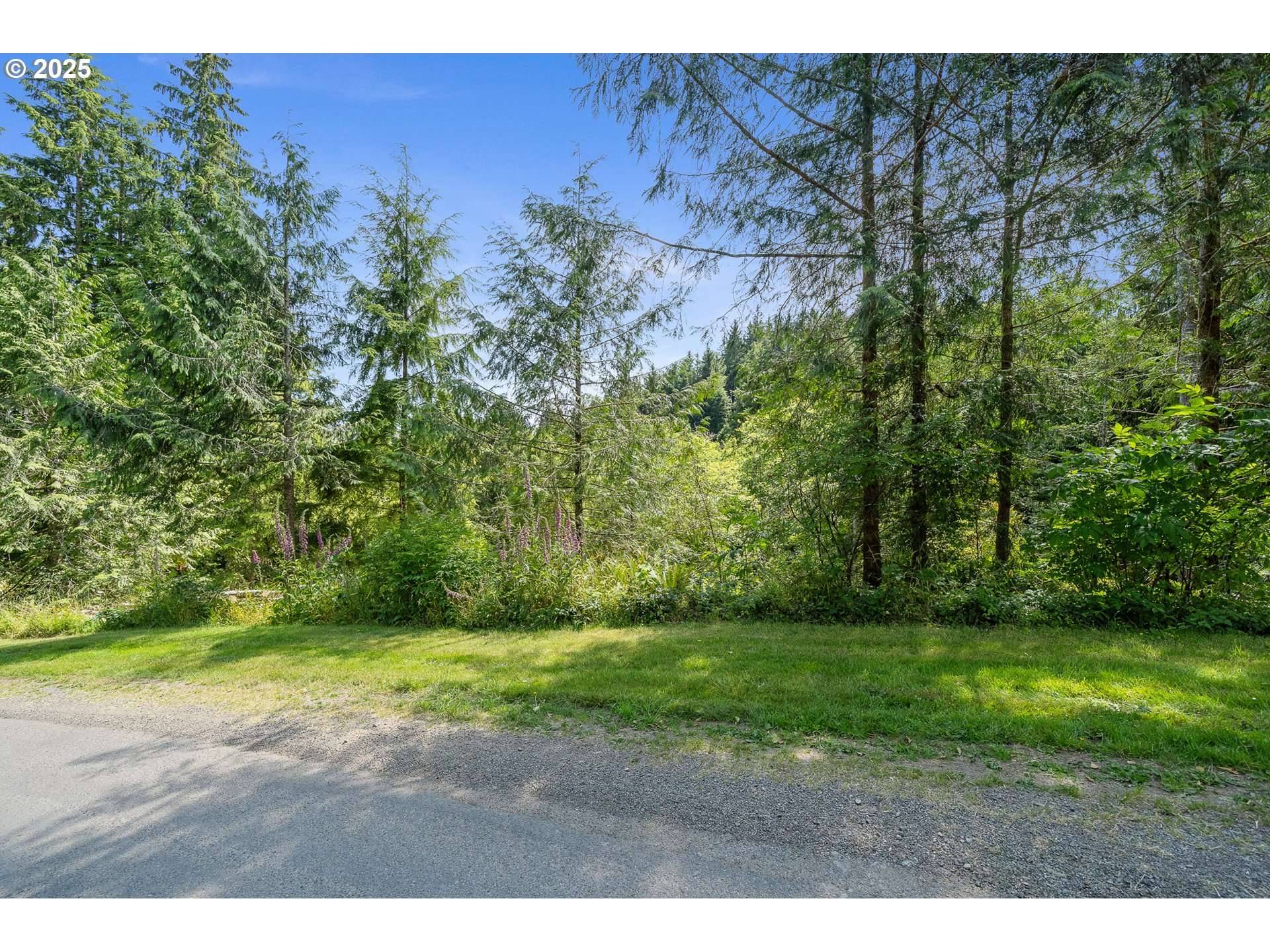 Tillamook, OR 97141,9450 WILLOWBROOK DR #1500