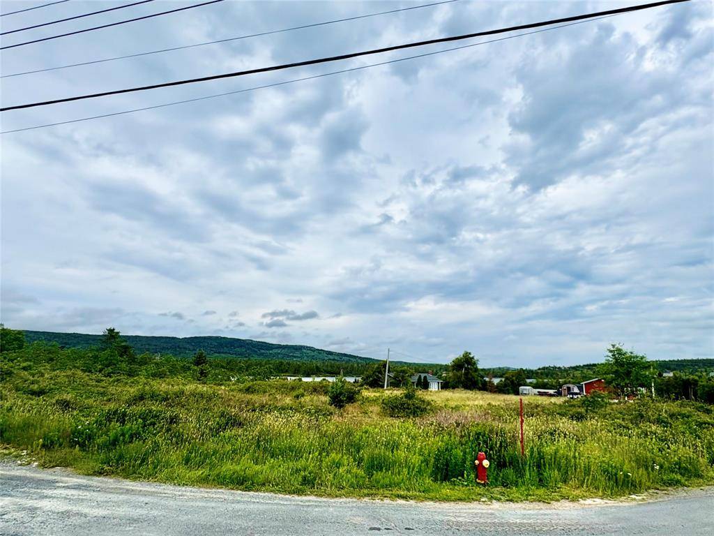 Spaniard's Bay, NL A0A 3X0,42-52 Battery Road