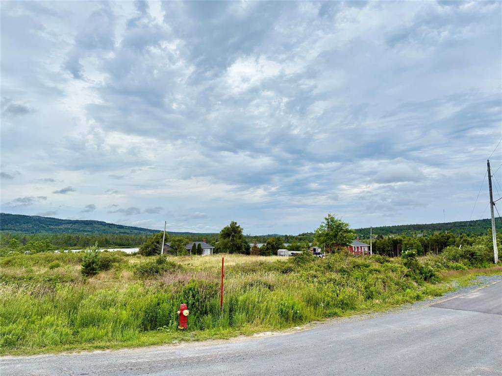 Spaniard's Bay, NL A0A 3X0,42-52 Battery Road