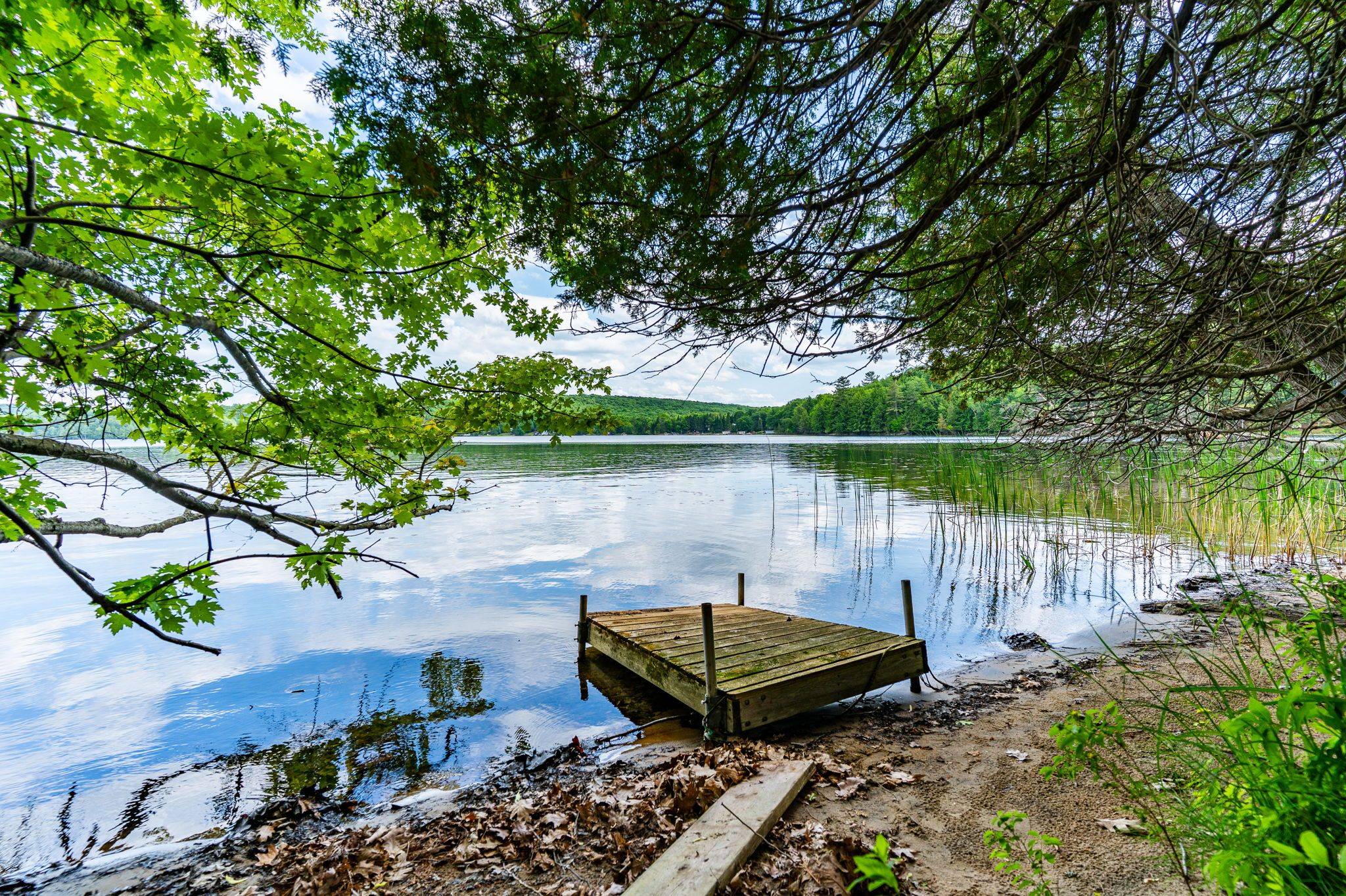 Algonquin Highlands, ON K0M 1S0,1230 North Shore RD
