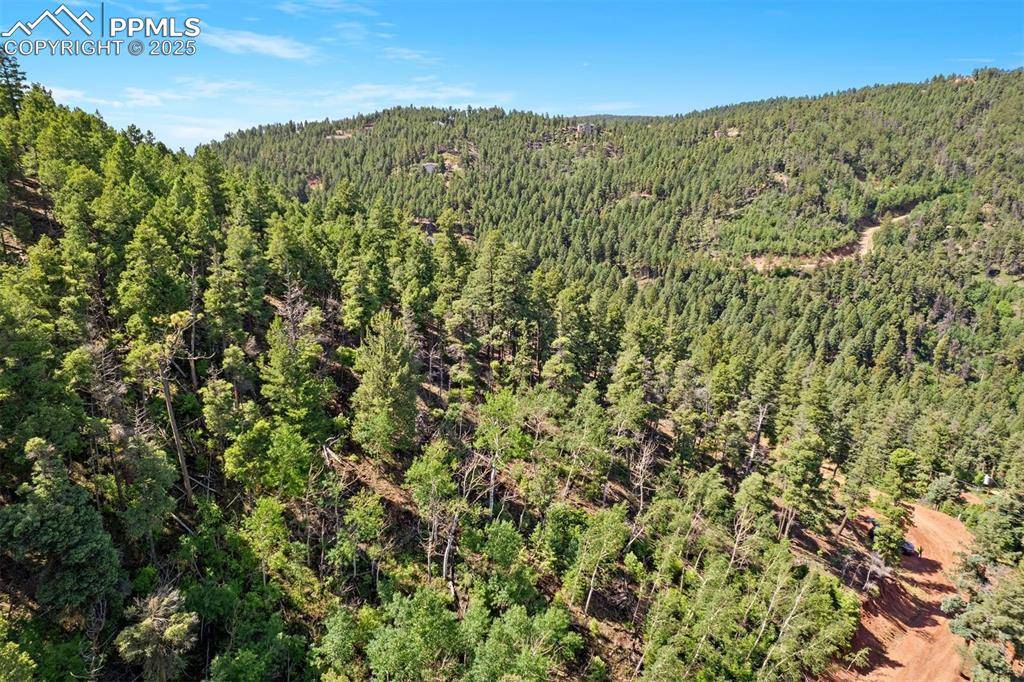 Larkspur, CO 80118,13294 N Firedog WAY