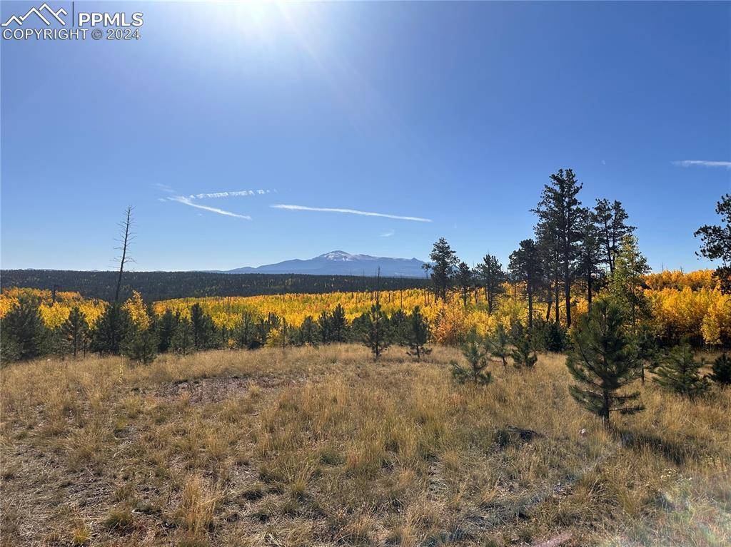 Florissant, CO 80816,Unit 4 County Road 51