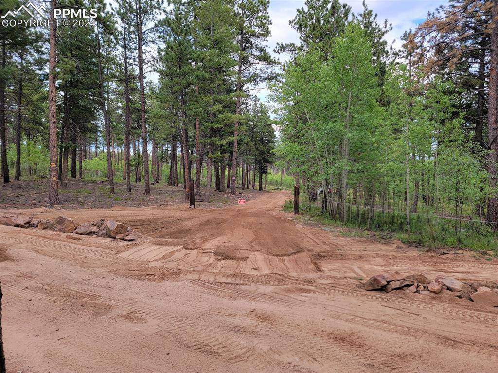 Florissant, CO 80816,Unit 4 County Road 51