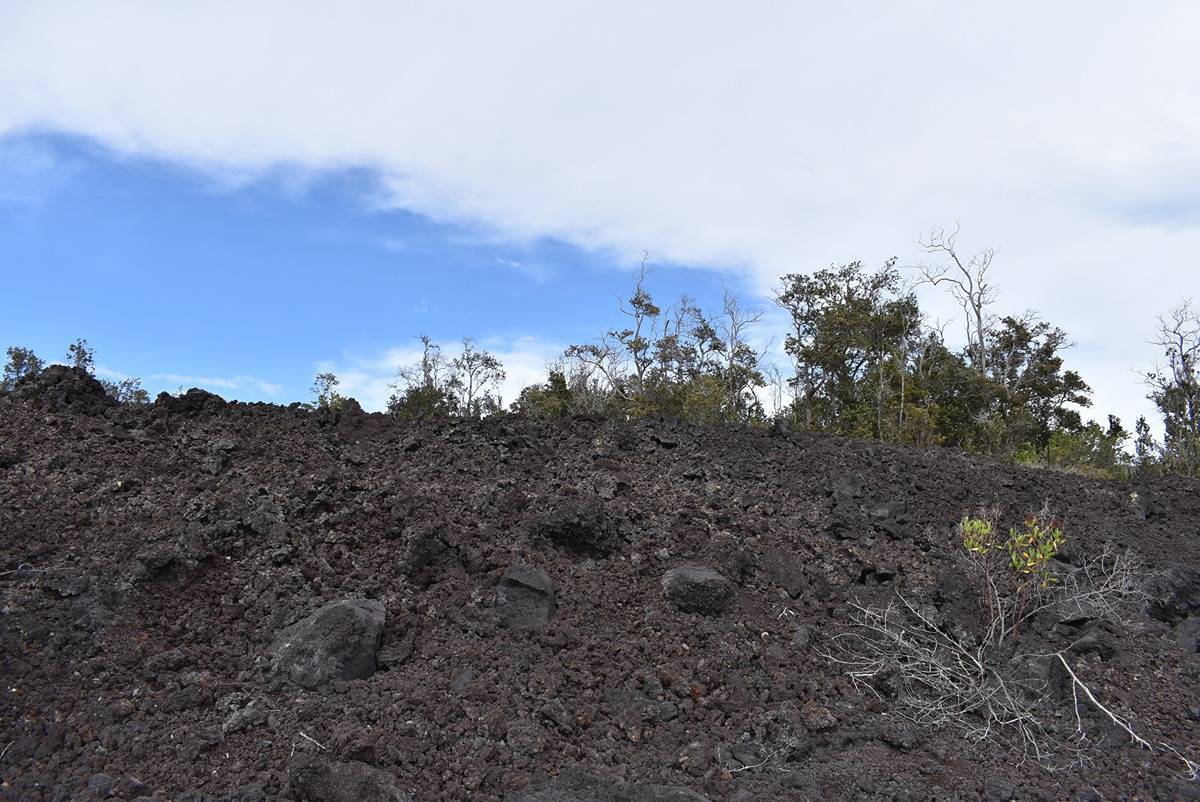 Ocean View, HI 96737,CATAMARAN LN