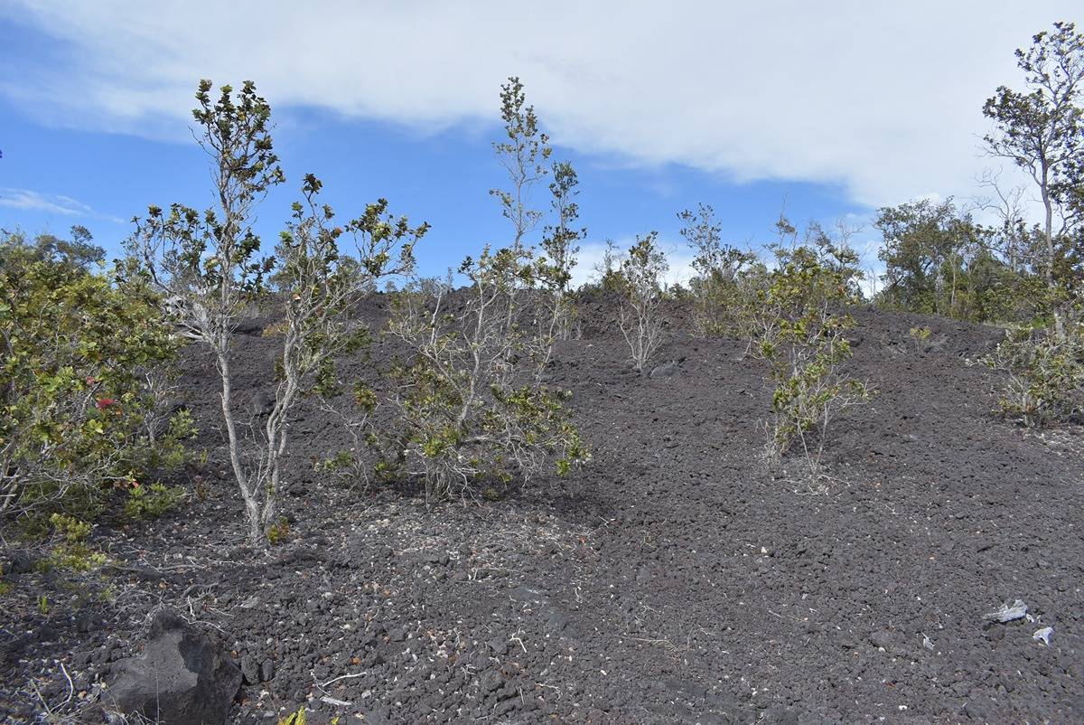 Ocean View, HI 96737,CATAMARAN LN