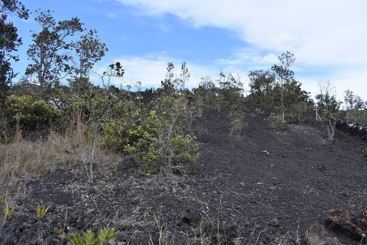 Ocean View, HI 96737,CATAMARAN LN