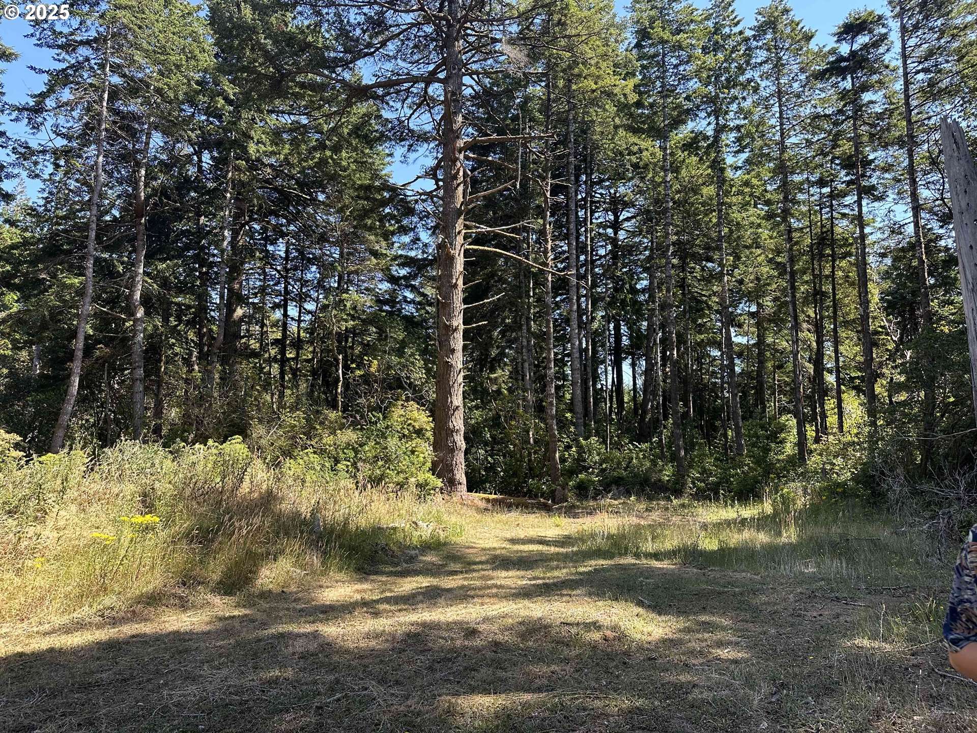 Port Orford, OR 97465,HWY 101