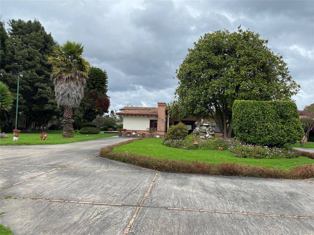 Other County - Not In Usa, 111176,NOT IN USA GUAYMARAL- COLOMBIA