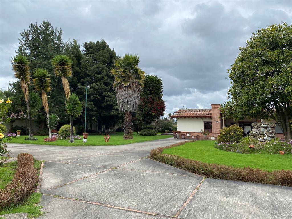 Other County - Not In Usa, 111176,NOT IN USA GUAYMARAL- COLOMBIA