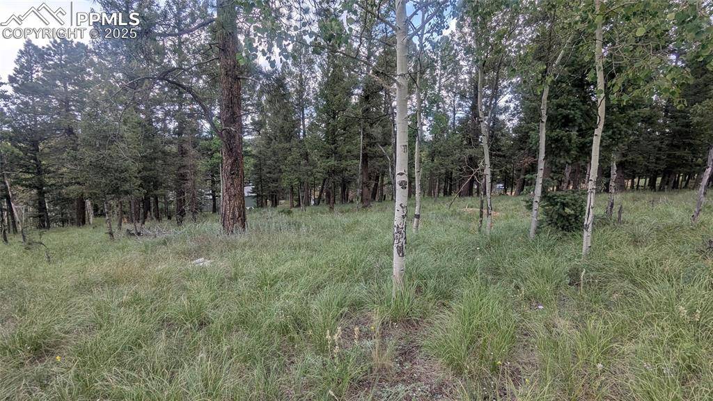 Divide, CO 80814,924 Will Scarlet DR