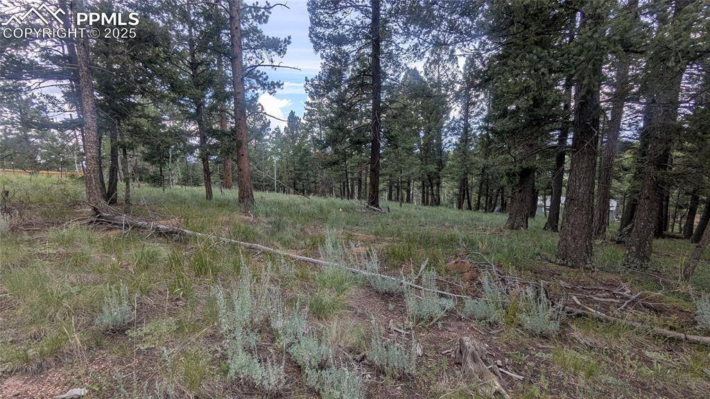 Divide, CO 80814,924 Will Scarlet DR